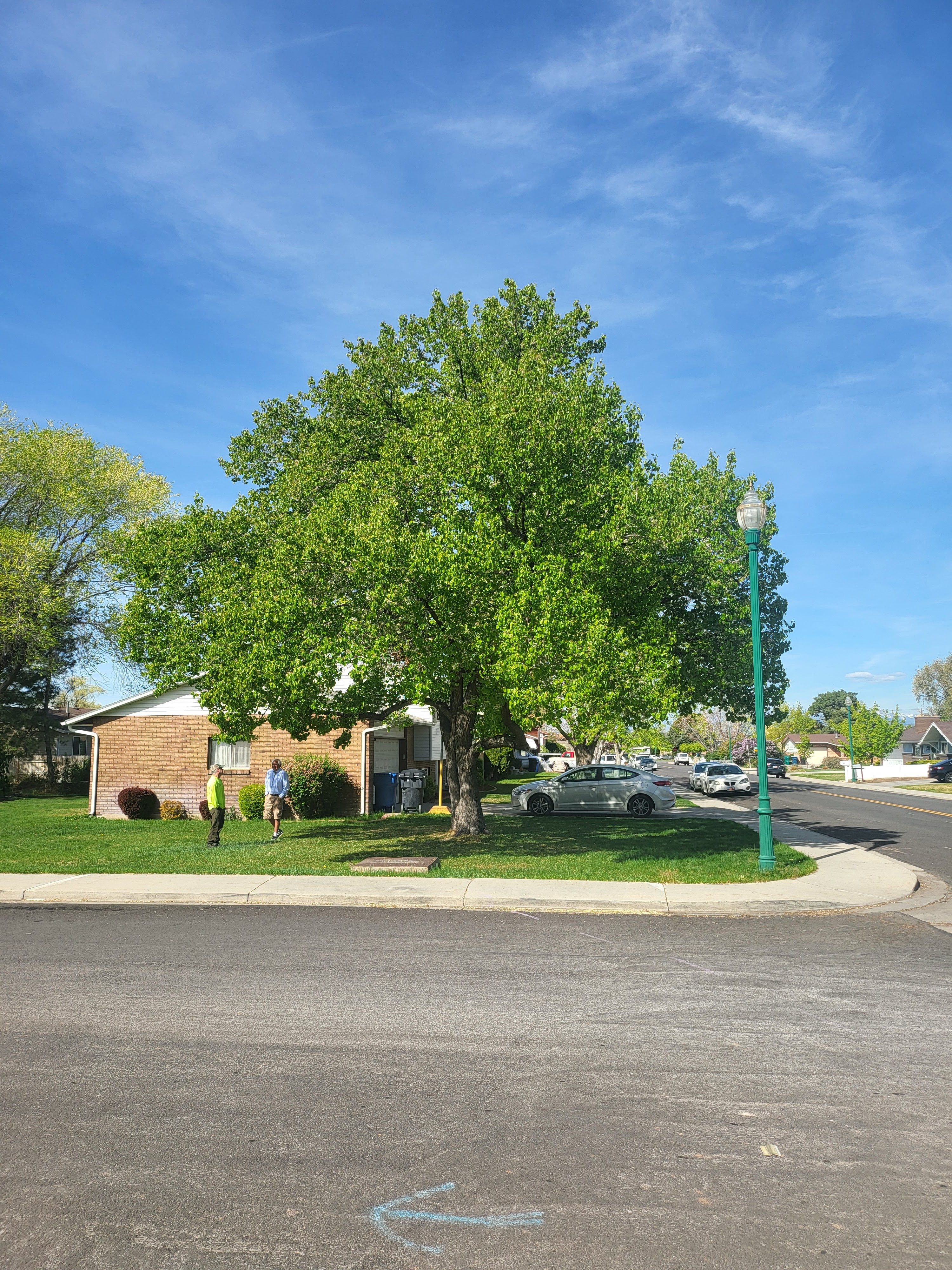 ISA Certified Arborist talking with a homeowner beside a large shade tree in a Salt Lake County front yard