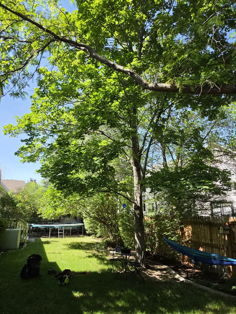 Long tree limb reaching out over a backyard patio area in Taylorsville, Utah